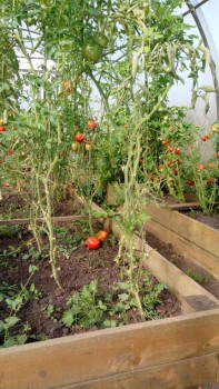 Вкуснятика!