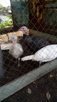 Надеюсь тоже вкуснятика!