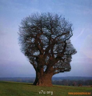 Удивительное рядом - 1245324721_1245294l.jpg