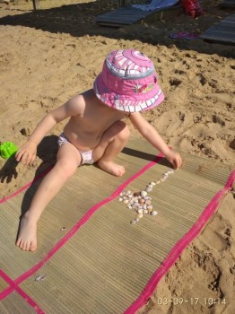 Собирали ракушки.