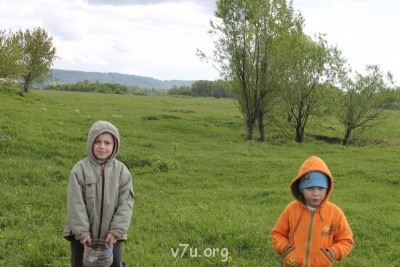 вот на этом лугу подальше только, ходит скотина на свободном выгуле.