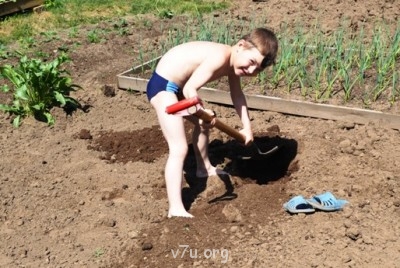 К сожаленью , день рожденье или как провести праздник... - июнь 2013 082.jpg