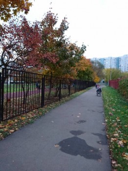 Наш Зайка - DSC_0643.JPG